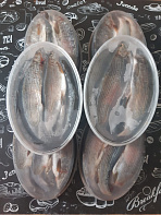 Хариус солёномороженный